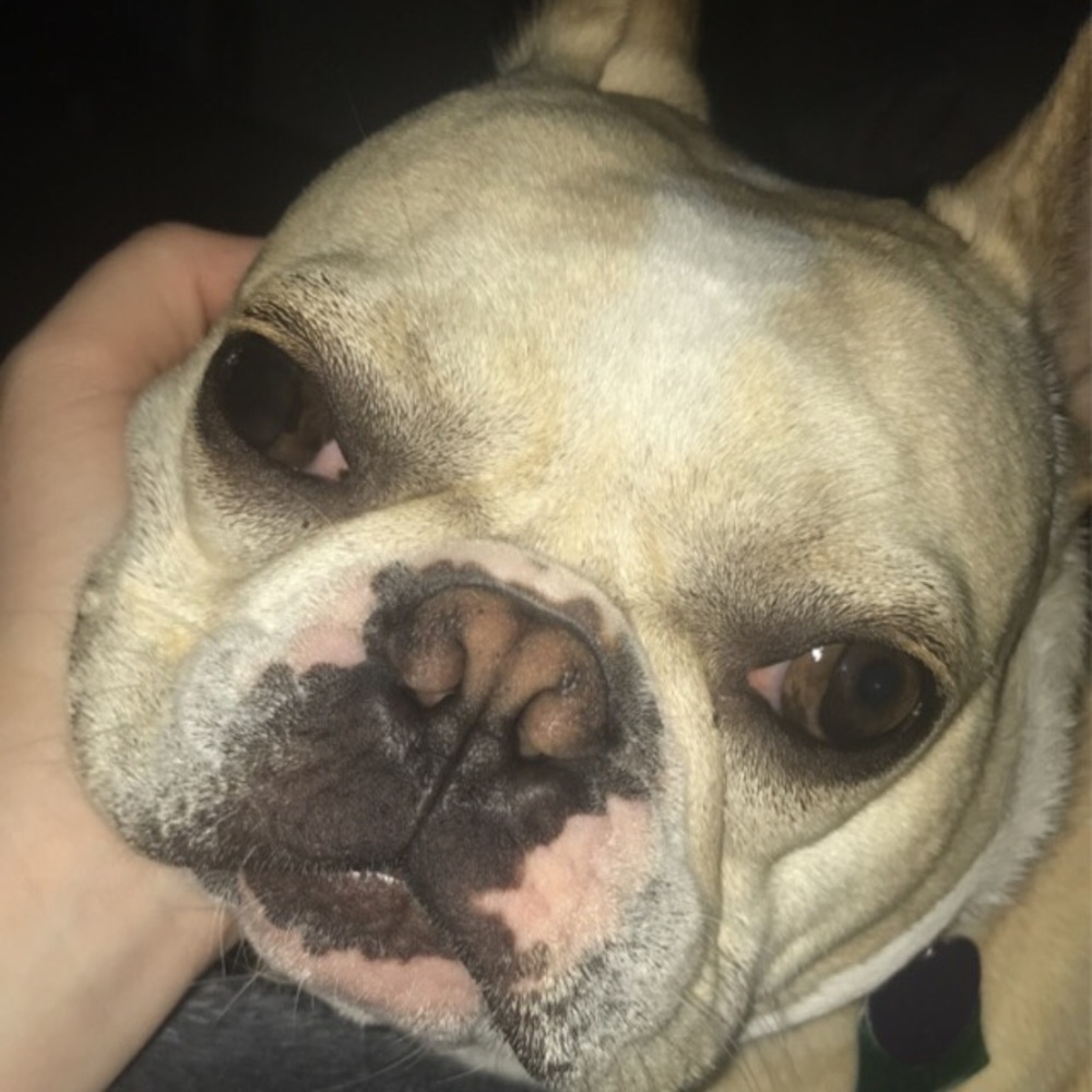 Meet your Posher, Aspen